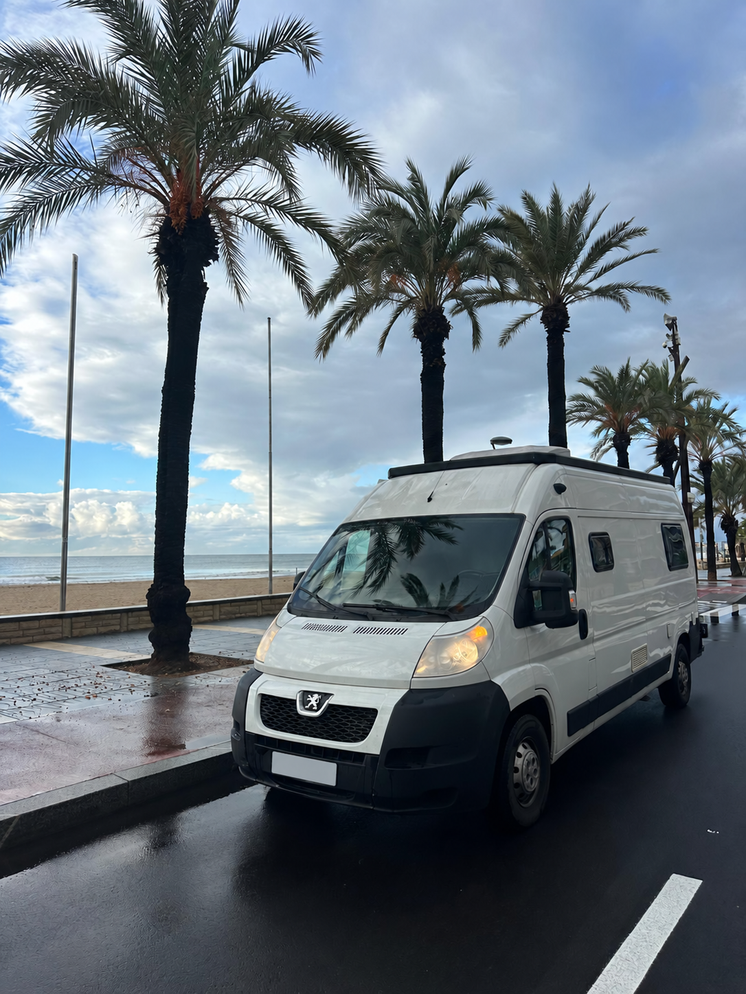 Freedomvan stationné près des palmiers et de la plage